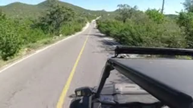 LOS CABOS MEXICO-2019: Aerial View Of Car Roof As It Drives Down Tree Lined Road