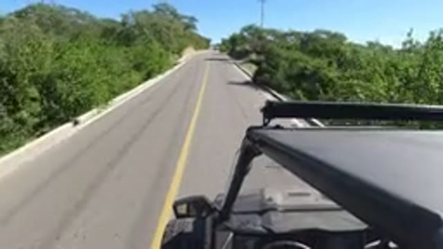 LOS CABOS MEXICO-2019: Scenic Roadside Drive Through Lush Trees