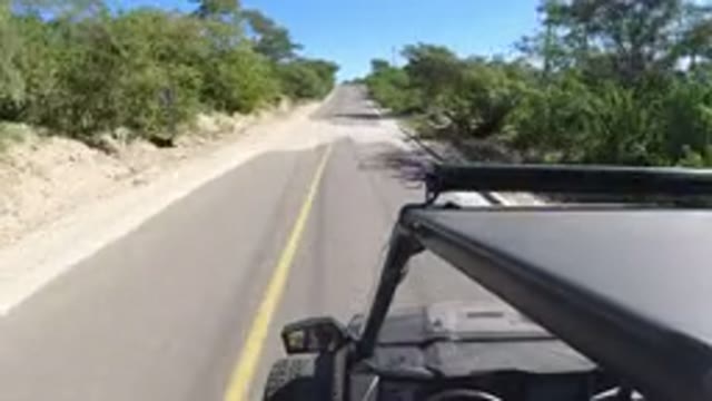 LOS CABOS MEXICO-2019: Driving On A Tree-Lined Two-Lane Road On A Sunny Day With