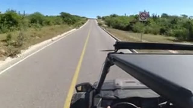 LOS CABOS MEXICO-2019: Vehicle Moving Empty Road Both Sides Trees Clear Sky