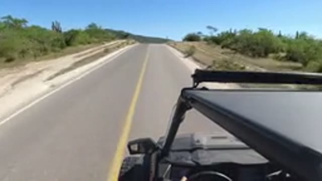 LOS CABOS MEXICO-2019: Cleanest Road in The City With Green Grass Trees Around