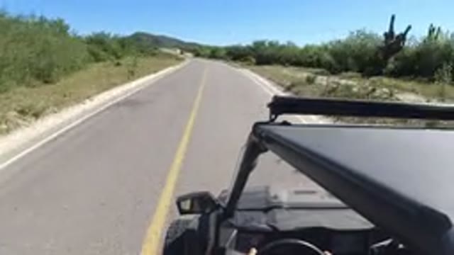 LOS CABOS MEXICO-2019: He Drives On A Peaceful Road With Green Grass And Trees