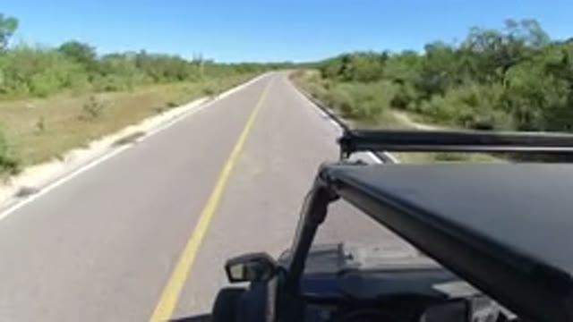 LOS CABOS MEXICO-2019: Vehicle Walking Under Blue Sky With Vegetation On The Right