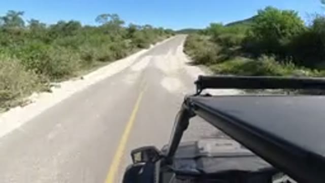 LOS CABOS MEXICO-2019: Car Cruises Down Road Under Blue Sky With Green Brush