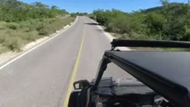 LOS CABOS MEXICO-2019: Vehicle Moves Down Winding Road Trees And Shrubs On