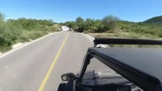 LOS CABOS MEXICO-2019: Nature Green Road Drive Beautiful Enjoy Travel Summer