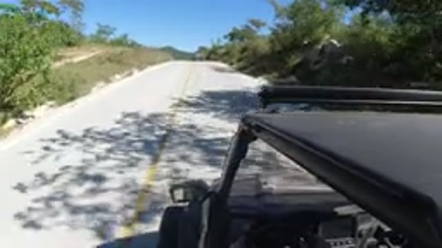 LOS CABOS MEXICO-2019: Vehicles Moving on Road Flanked by Trees
