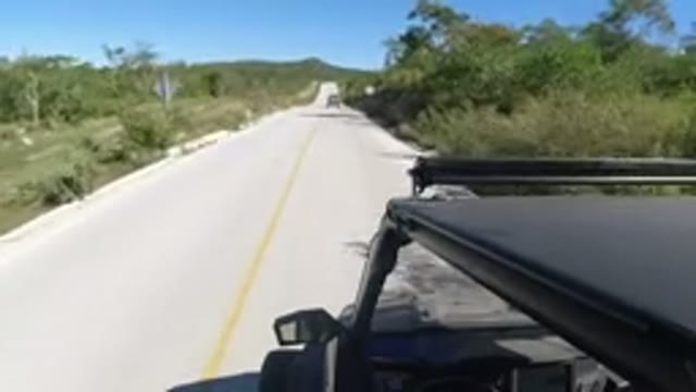 LOS CABOS MEXICO-2019: Speedy Vehicle on Road with Trees on Left and Right Sides