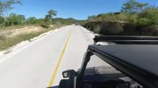 LOS CABOS MEXICO-2019: The Car Locomotion In Runway Between Forest