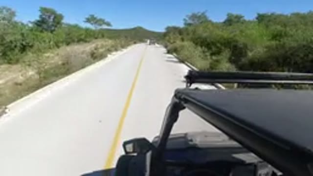 LOS CABOS MEXICO-2019: Car Riding On A Clean And Preserved Road With Vegetation