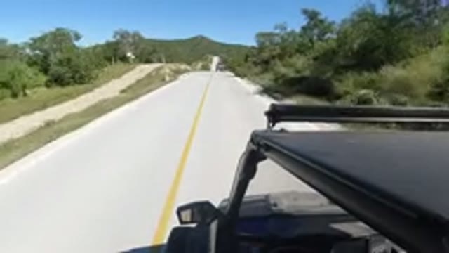 LOS CABOS MEXICO-2019: Nicest Road in The City With Green Grass Trees Around And