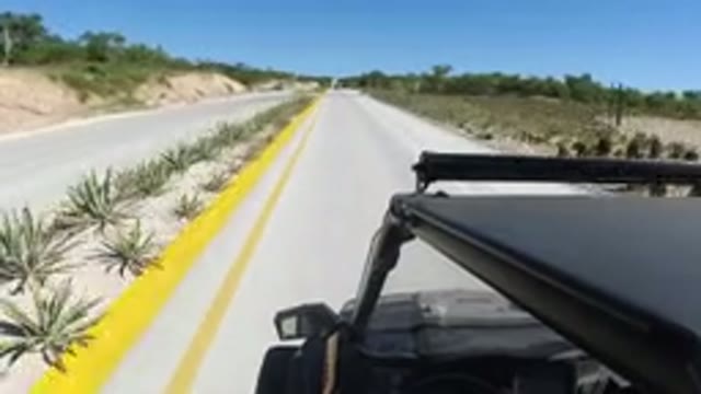 LOS CABOS MEXICO-2019: Video Shot From Roof Of Jeep Driving Through Quiet Rural