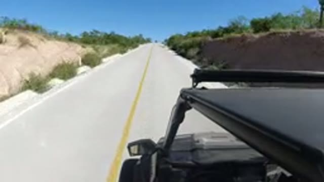 LOS CABOS MEXICO-2019: Mom Drives On A Sunny Road With Trees Around