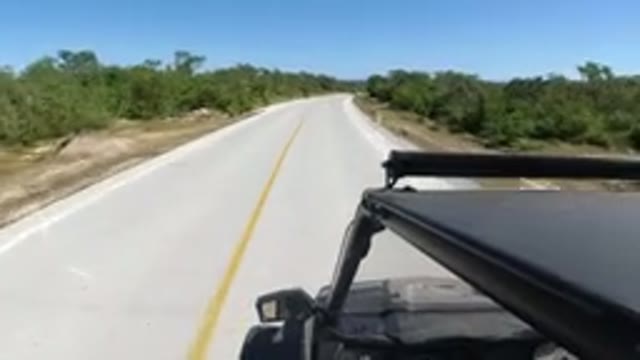 LOS CABOS MEXICO-2019: Camera On Top Of A Car At Day Speed Passing Through Trees