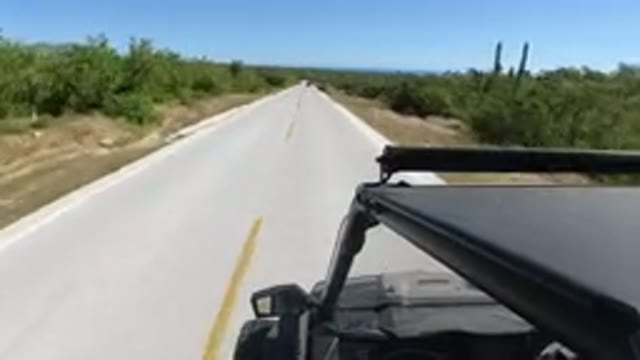 LOS CABOS MEXICO-2019: Vehicle Moving on Empty Road with Trees on Both Sides