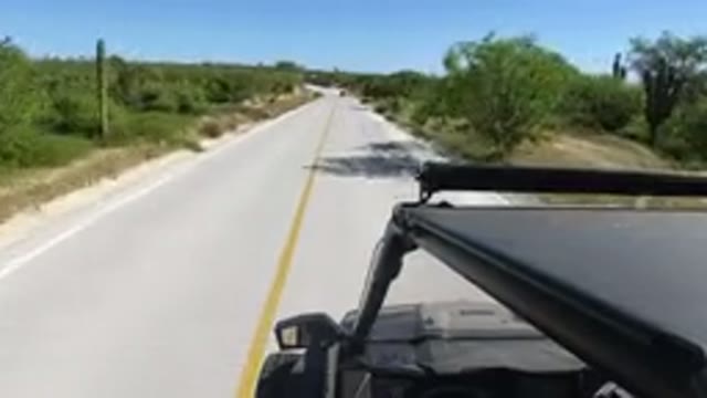 LOS CABOS MEXICO-2019: View From Top Of Car Driving Quickly Down Road With Trees