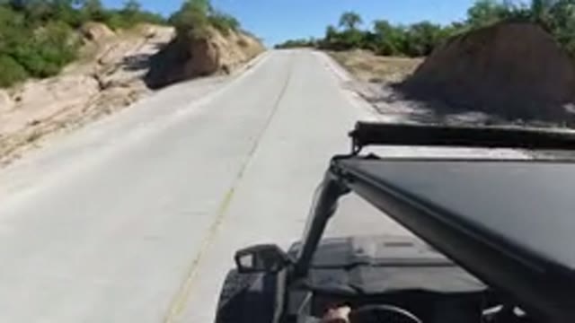 LOS CABOS MEXICO-2019: Driver Driving Car At High Speed On A Road Surrounded By Vegetation