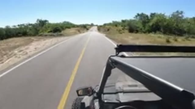 LOS CABOS MEXICO-2019: Vehicle Driving Through Road With Both Sides Trees &