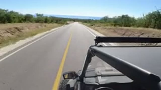 LOS CABOS MEXICO-2019: Vehicle Move On The Road Outside Trees Locations Is A