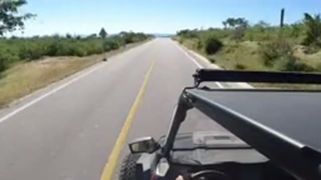 LOS CABOS MEXICO-2019: Car Driving Down Road With Trees Nearby