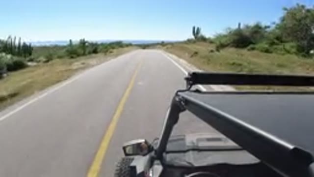 LOS CABOS MEXICO-2019: Vehicle Driving Through Long Road With Both Sides Trees
