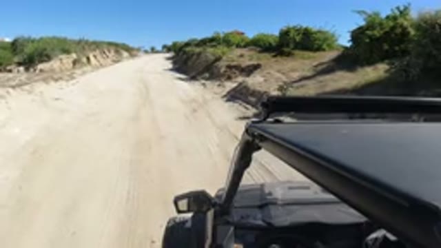 LOS CABOS MEXICO-2019: Jeep Car Driving on Earthy Ground Surrounded by Green Bushes