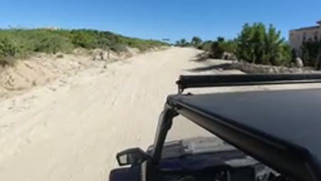 LOS CABOS MEXICO-2019: A Jeep On A Dry Sandy Road Driving Sideways With Bushes