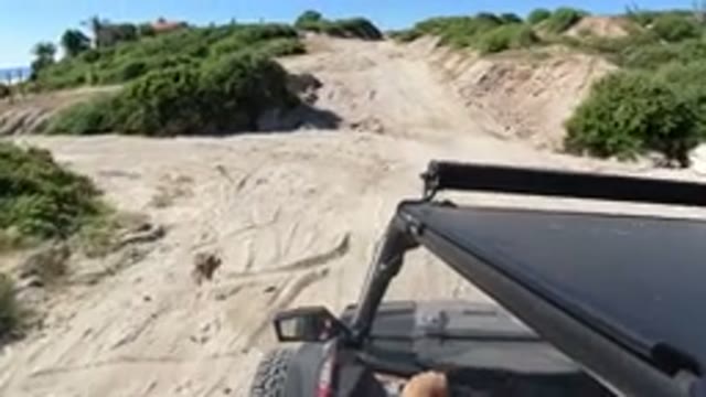 LOS CABOS MEXICO-2019: Car Driving Down Dirt Road With Bushes Around It