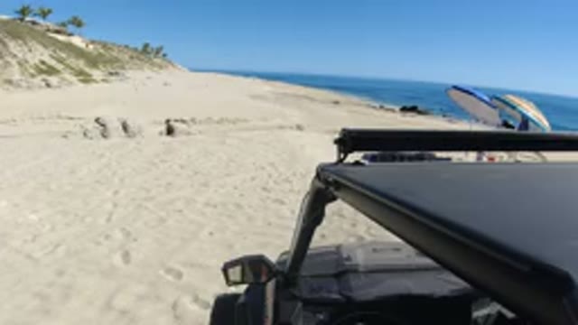 LOS CABOS MEXICO-2019: The Joys of a Secluded Beach and Summer Getaways