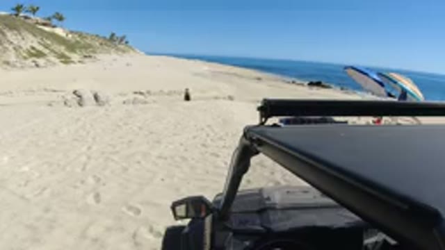 LOS CABOS MEXICO-2019: Vehicle Parked Aside Seashore Man Enjoying Beach