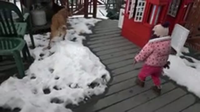 WESTMINSTER COLORADO-2016: Small Girl Enjoying Snow with Dog Roaming Near Colorful House