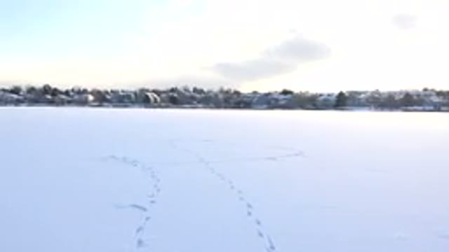HIDDEN LAKE COLORADO-2014: Human Tracks Lead Out Into A Snow Covered Field