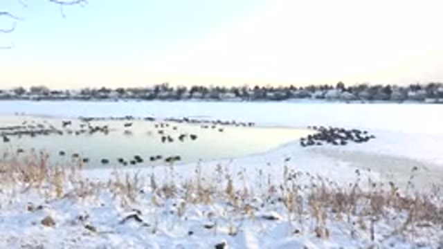 HIDDEN LAKE COLORADO-2014: Natural Reserve for Those Who Love Sustainable