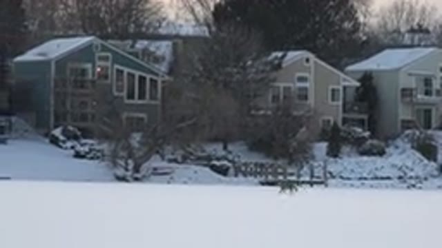 HIDDEN LAKE COLORADO-2014: A Lone Fox Roaming a Quiet Town in the Snow