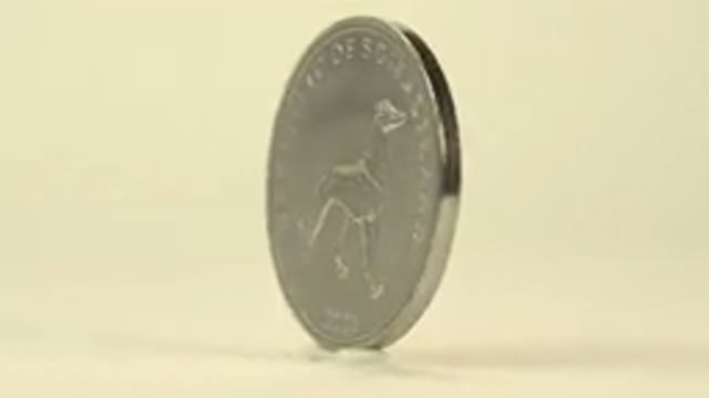 A Coin With A Dog's Picture On It Stood Sideways On A Table
