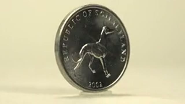 A Silver Colored Coin With A Dog On One Side And The Numeral Twenty On The Other