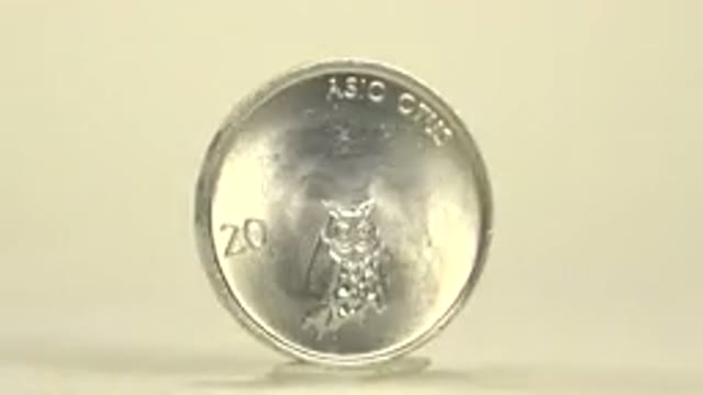Silver Color Currency In The Value Of Twenty With A Printed Owl