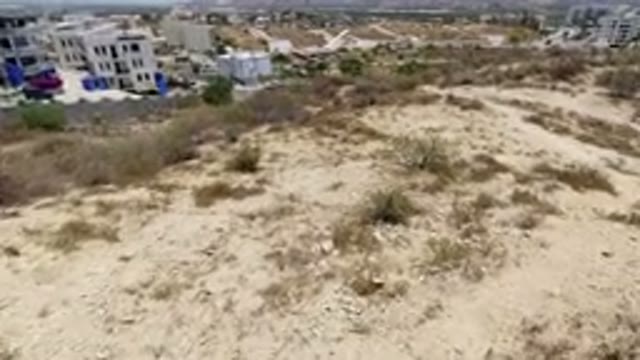 SAN JOSE DEL CABO MEXICO-2020: Desert Walk With Dog