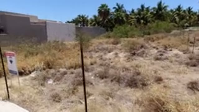 SAN JOSE DEL CABO MEXICO-2020: Green Land For Sale With Pleasant Surrounding All