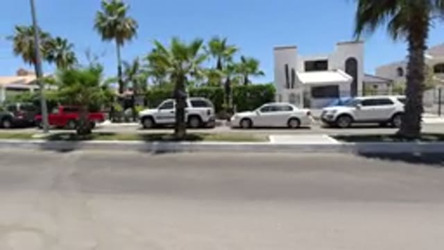 SAN JOSE DEL CABO MEXICO-2020: Neighborhood On A Sunny Day Road With Palms And Dog