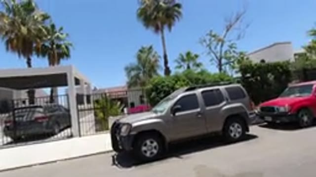 SAN JOSE DEL CABO MEXICO-2020: Dog Walking In Expensive Neighborhood