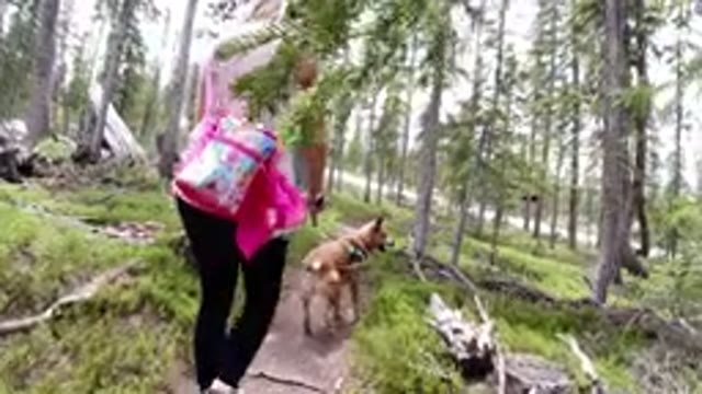 WINTER PARK COLORADO-2019: A Woman Walking With Her German Shepherd In The Woods