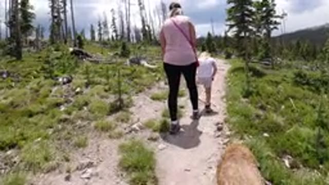 WINTER PARK COLORADO-2019: Walking With The Dogs On A Sunny Summer Afternoon In