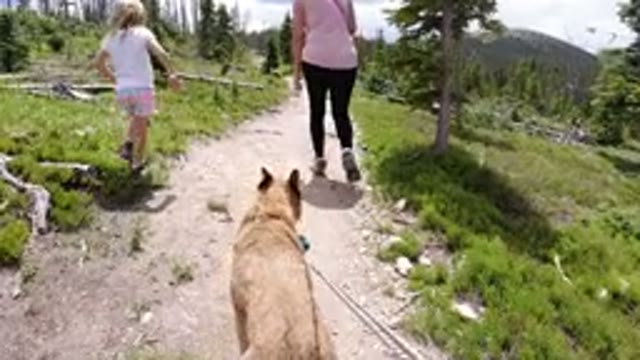 WINTER PARK COLORADO-2019: Family Trip To A Wild Adventure Place With The Best