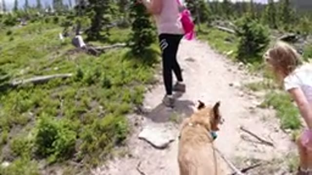 WINTER PARK COLORADO-2019: Mother And Daughter Going On A Trek With Their Dog