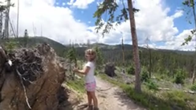 WINTER PARK COLORADO-2019: A Kid With A Stick Is Hitting It On A Big Pile Of Dirt