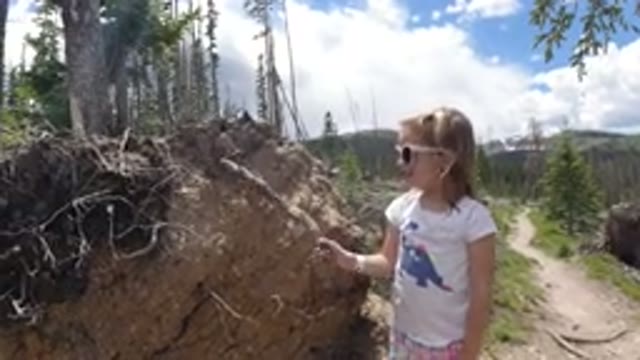WINTER PARK COLORADO-2019: A Little Girl Beats a Tree Root With a Stick Outdoors