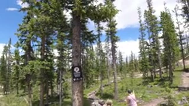 WINTER PARK COLORADO-2019: People Walking On A Pedestrian Path In A Forest
