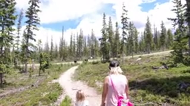 WINTER PARK COLORADO-2019: Adult and Child Walking on a Nature Trail