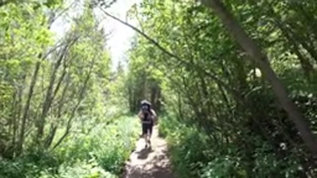 WINTER PARK COLORADO-2019: A View Of The Nature With People Trees And Grass In